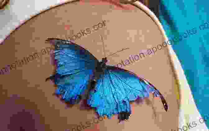 A Broken Butterfly, Its Wings Torn And Tattered, Lies On The Ground Guardian Of Butterflies Eileen Small