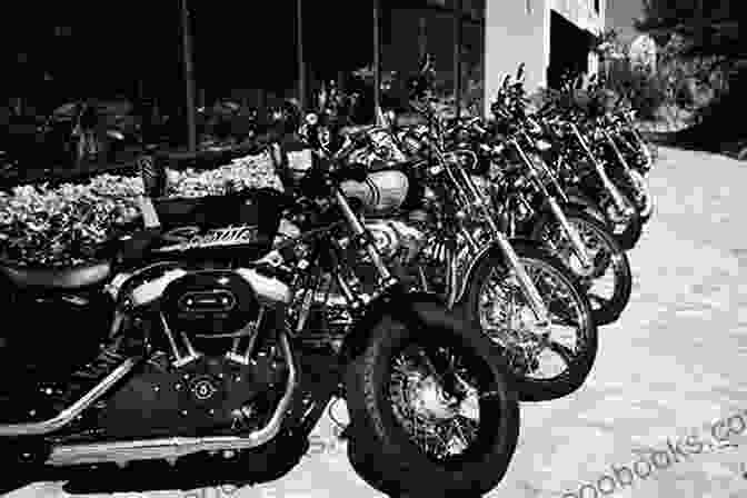 A Color Photograph Of A Group Of Modern Harley Davidson Motorcycles Parked In A Row. The Legend Of Harley Davidson