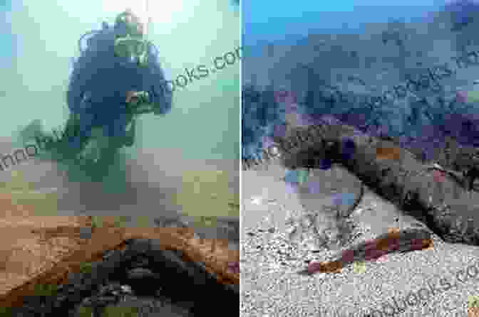 A Diver Retrieving A Treasure Chest From A Shipwreck On The Death Coast Treasure Hunter: Diving For Gold On North America S Death Coast