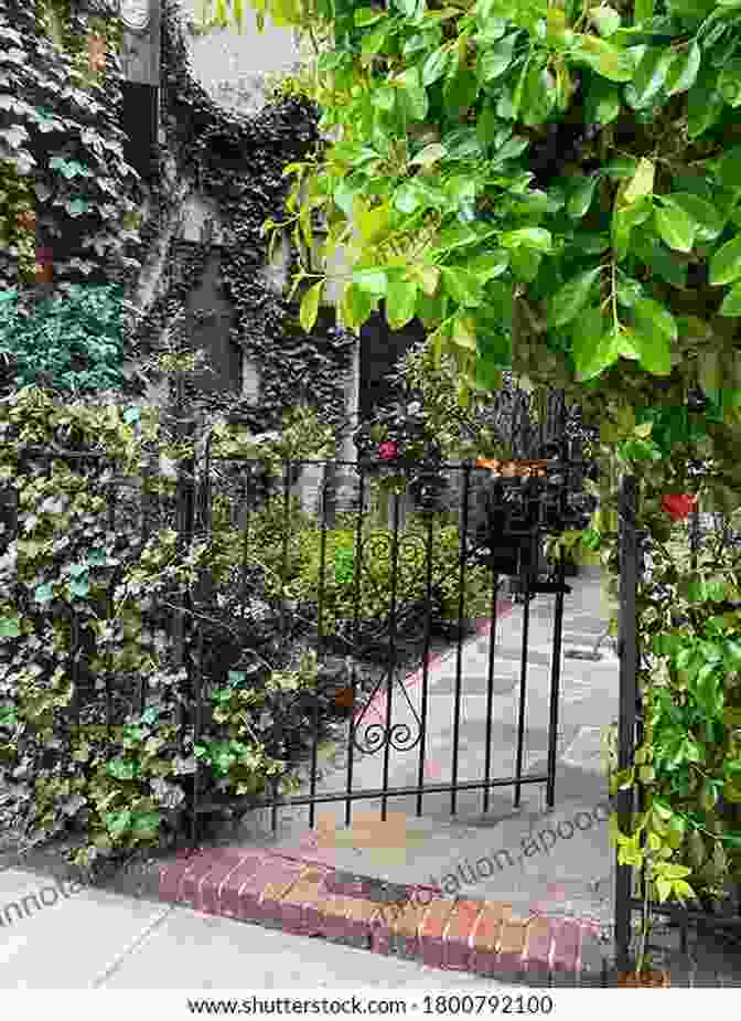 A Hidden Garden Tucked Away Behind A Row Of Buildings On County Street New Bedford Mansions: Historic Tales Of County Street (Landmarks)