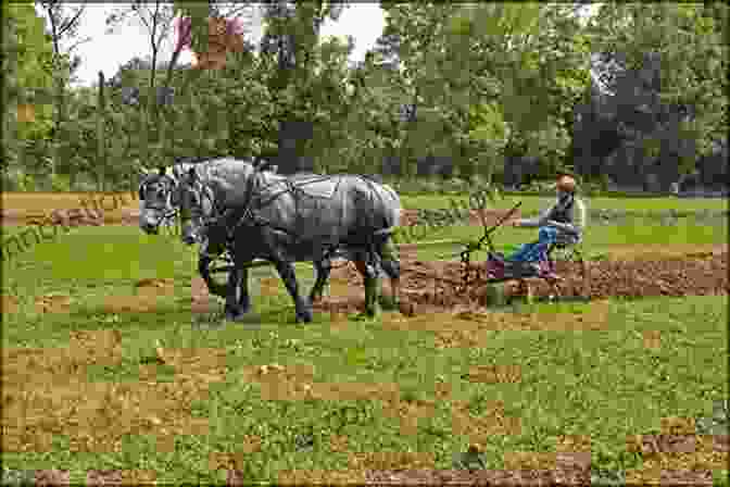 A Photograph Of The Smothers Family Farm In Texas, With A Horse Drawn Plow In The Foreground. Las Tejanas: 300 Years Of History (Jack And Doris Smothers In Texas History Life And Culture 10)