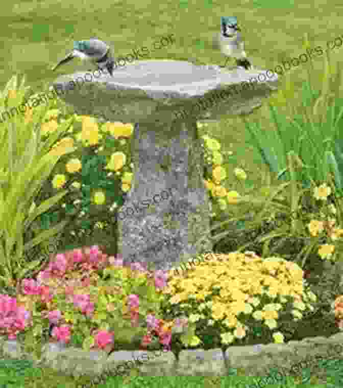 Beautiful Bird Bath Designs Feeding Houses And Birdbaths In Your Garden Making Your Feathered Friends Welcome In Your Garden (Gardening 11)