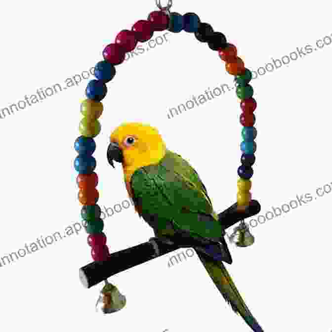 Budgie Playing With A Colorful Swing Toy BASIC GUIDE TO BUDGIE CARE FOR BEGINNERS: Best Guide On Everything You Need To Know About Budgie: Care Food Health Behavior Disease Housing And Much More