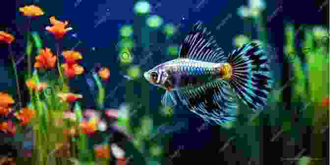 Captivating Image Of Vibrant Red Guppies Swimming In An Aquarium Guppy Designer S Guide To Red Guppies (Guppy Designer Guide To Guppy Color Strains 4)