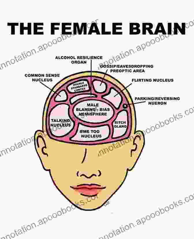 Diagram Of The Female Brain Be Irresistible : Uncover The Inner Workings Of Female Psychology Unlock Her Attraction