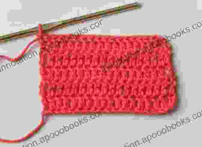 Double Crochet Stitch 2024 Crocheting Guide For Beginners: A Simple Step By Step Beginners Guide To Crocheting With Clear Picture Illustrations And Amazing Crochet Pattern Ideas