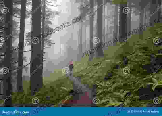 Hikers Exploring A Tranquil Forest Trail Surrounded By Towering Trees Hiking North Florida And The Panhandle: A Guide To 30 Great Walking And Hiking Adventures (Regional Hiking Series)