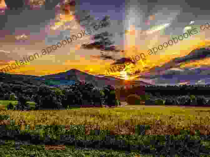 Image Of A Sunrise Over A Peaceful Landscape, Symbolizing Hope Colours Of Life: A Poetry Collection For Triumph Beauty Love Self Discovery Exploration And Hope