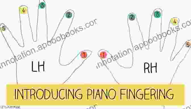 Introducing Basic Fingerings And Articulations The Debut Flute Teacher: Practical Advice For The Novice Flute Teacher