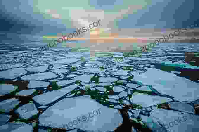 Melting Ice In The Arctic Climate Change And The White World