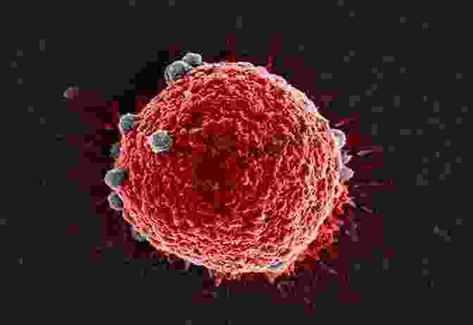 Microscopic Image Of A Cancerous Cell Medical Science (The Study Of Science)