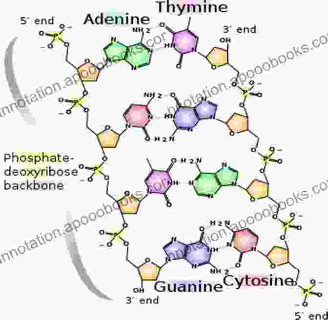 Molecular Structure Of DNA Medical Science (The Study Of Science)