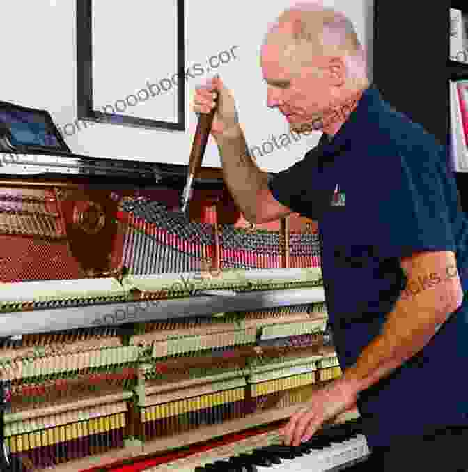 Piano Being Tuned By A Technician All About Piano: A Fun And Simple Guide To Playing Piano