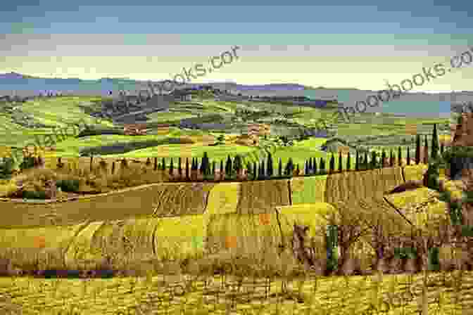 Rolling Hills And Vineyards Of The Tuscan Countryside Roadside Songs Of Tuscany Volume Pt 1