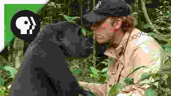 Shaggycoat Interacting With A Conservationist Shaggycoat The Biography Of A Beaver