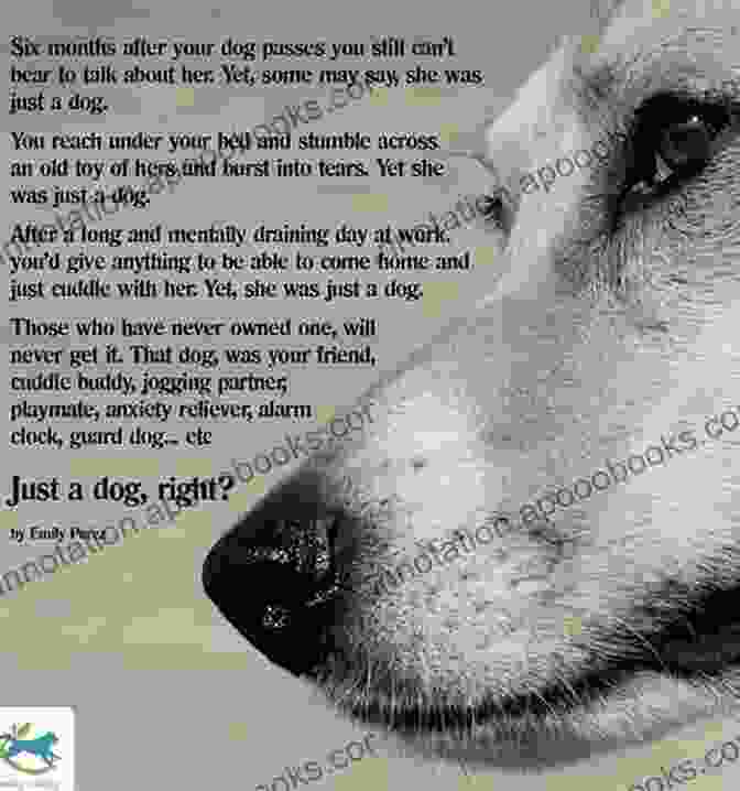 Tanka Poems Of Love And Loss For Dog Lovers Book Cover Memories Of Simba: Tanka Poems Of Love And Loss For Dog Lovers