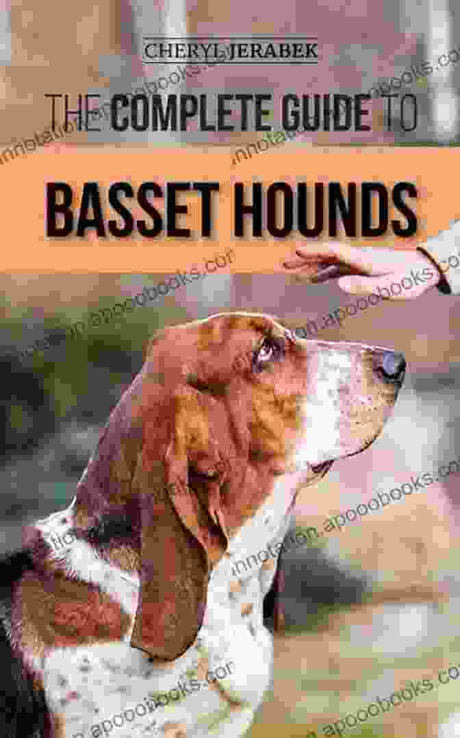 The Complete Guide To Basset Hounds The Complete Guide To Basset Hounds: Choosing Raising Feeding Training Exercising And Loving Your New Basset Hound Puppy