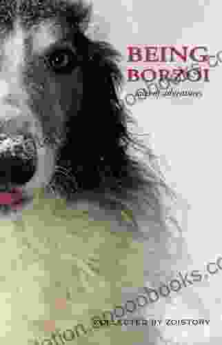 Being Borzoi: tales of adventures