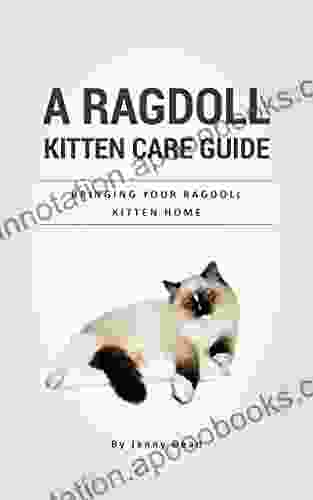 A Ragdoll Kitten Care Guide: Bringing Your Ragdoll Kitten Home