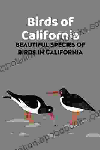 Birds Of California: Beautiful Species Of Birds In California: Guide To Identify Birds Of California