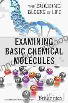 Examining Basic Chemical Molecules (Building Blocks of Life)