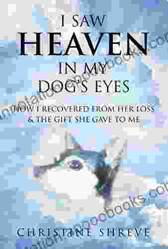 I SAW HEAVEN IN MY DOG S EYES: How I Recovered From Her Loss The Gift She Gave To Me