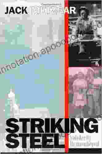 Striking Steel (Solidarity Remembered) (Critical Perspectives On The Past Series)