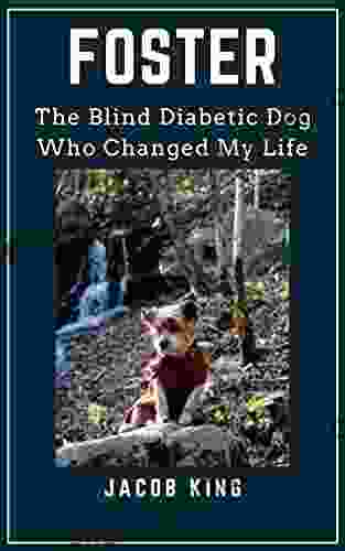 FOSTER: The Blind Diabetic Dog Who Changed My Life