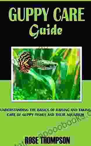 GUPPY CARE GUIDE: Understanding The Basics Of Raising And Taking Care Of Guppy Fishes And Their Aquarium