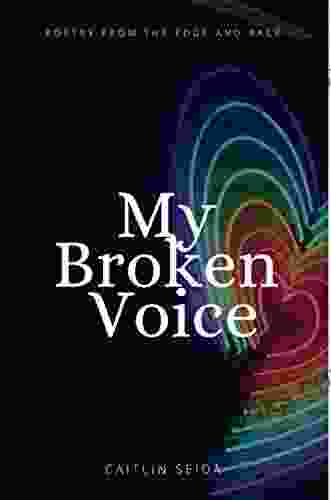 My Broken Voice: Poetry from the Edge and Back